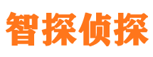 山海关侦探